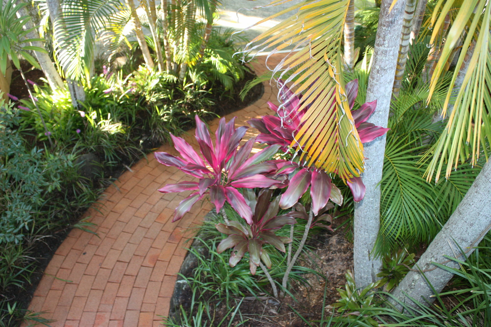 Mariner Bay Apartments Byron Bay Dış mekan fotoğraf